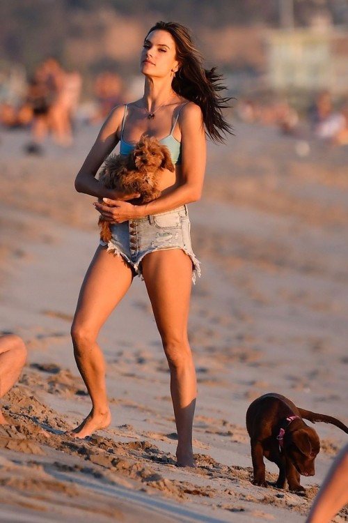 Alessandra-Ambrosio-Upshorts-Playing-volleyball-7.jpg